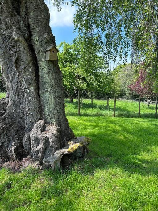 Beautiful 2 Bed Oast - 15 Acre Farm - Tunbridge Wells Villa ภายนอก รูปภาพ